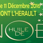 Marché de Noël de Clermont l’Hérault le 11 décembre 2016